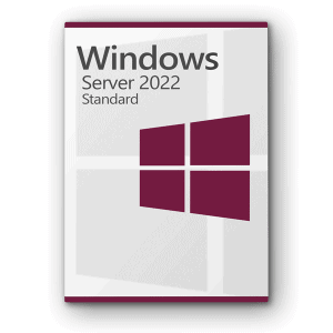 Microsoft Windows Server 2022 Standard